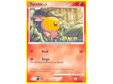 Torchic