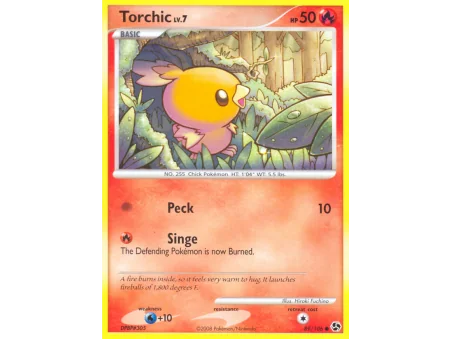 Torchic (Reverse Holo)