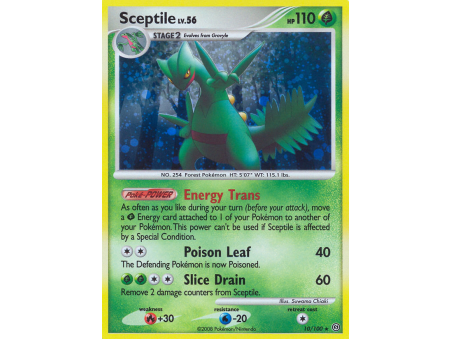 Sceptile (Holo)