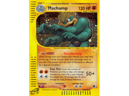 Machamp (Holo)