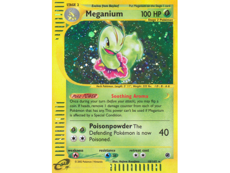 Meganium (Holo)