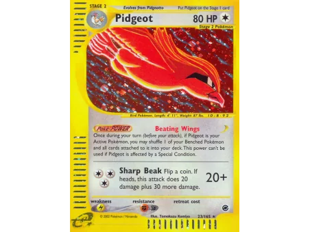 Pidgeot (Holo)