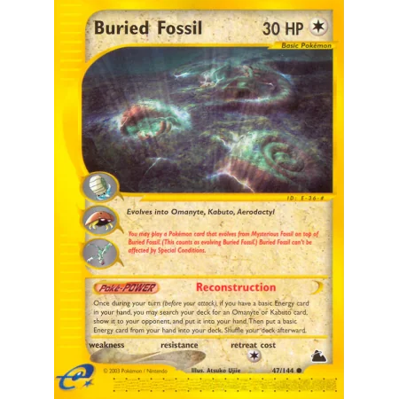 Buried Fossil