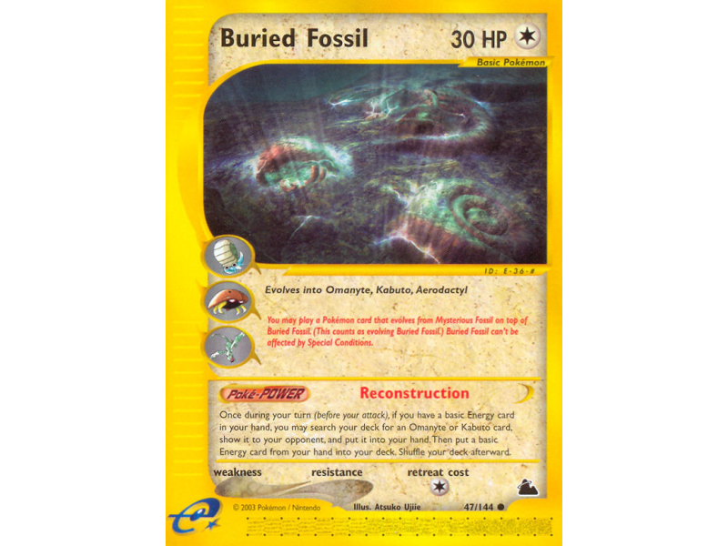 Buried Fossil