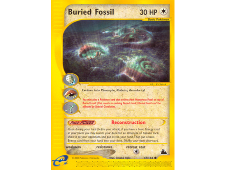 Buried Fossil