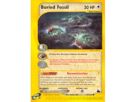 Buried Fossil