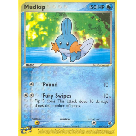 Mudkip