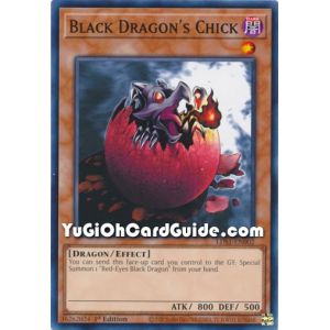 Black Dragon's Chick
