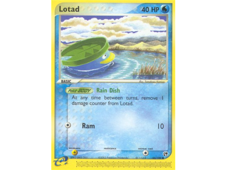 Lotad (Reverse Holo)