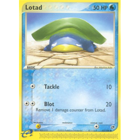 Lotad (Reverse Holo)