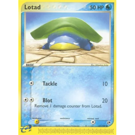 Lotad (Reverse Holo)