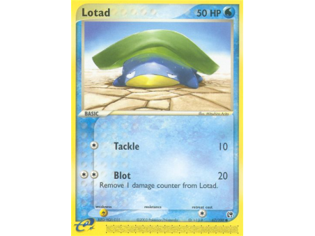 Lotad (Reverse Holo)