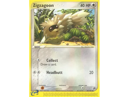 Zigzagoon