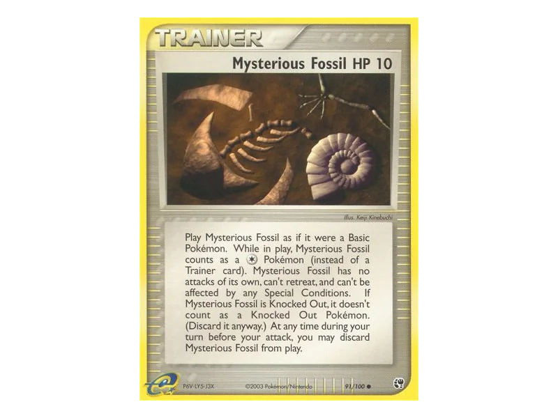 Mysterious Fossil