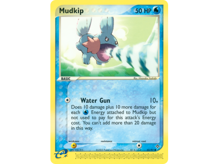 Mudkip