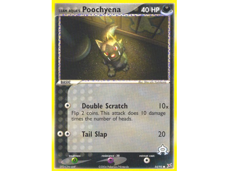 Team Aqua's Poochyena