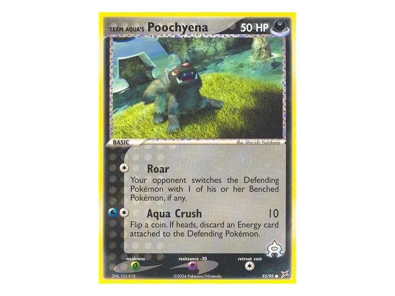 Team Aqua's Poochyena