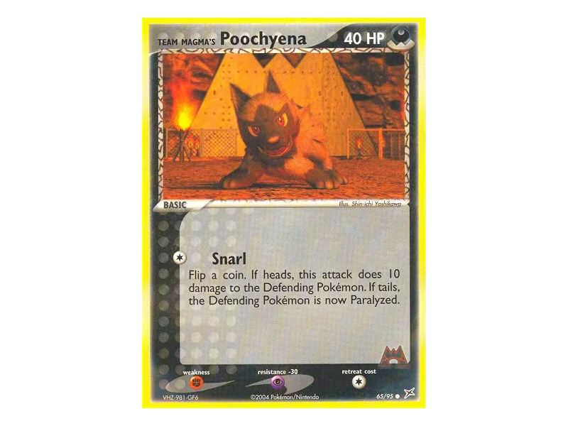 Team Magma's Poochyena