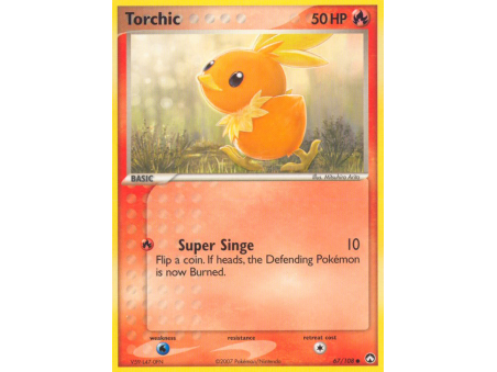 Torchic