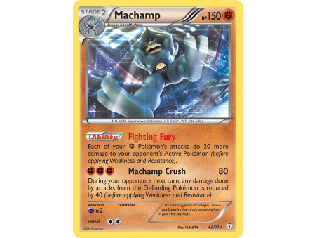 Machamp (Holo)