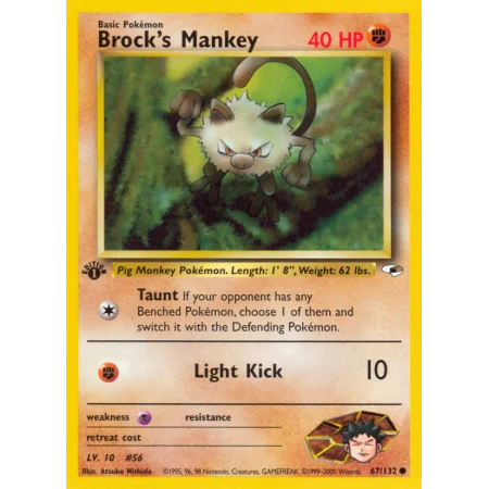 Brock's Mankey
