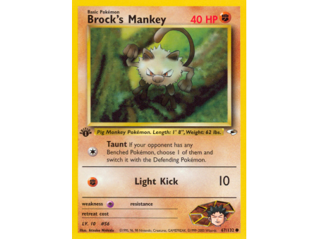 Brock's Mankey