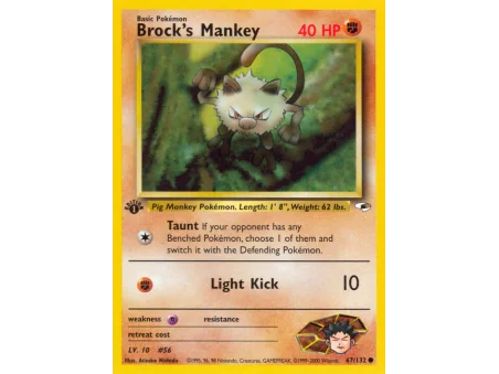 Brock's Mankey