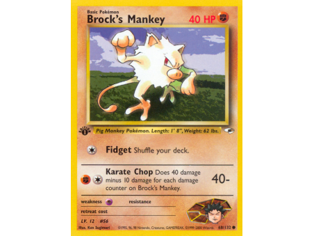Brock's Mankey