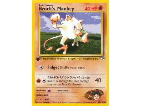 Brock's Mankey