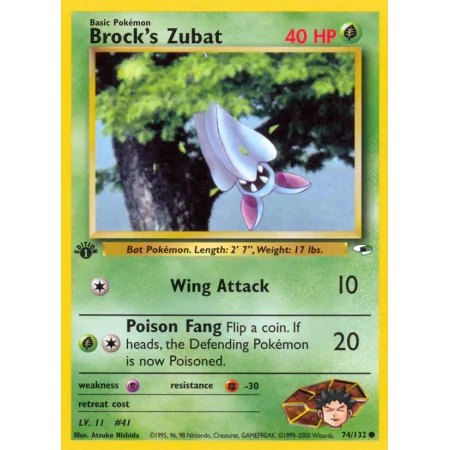 Brock's Zubat