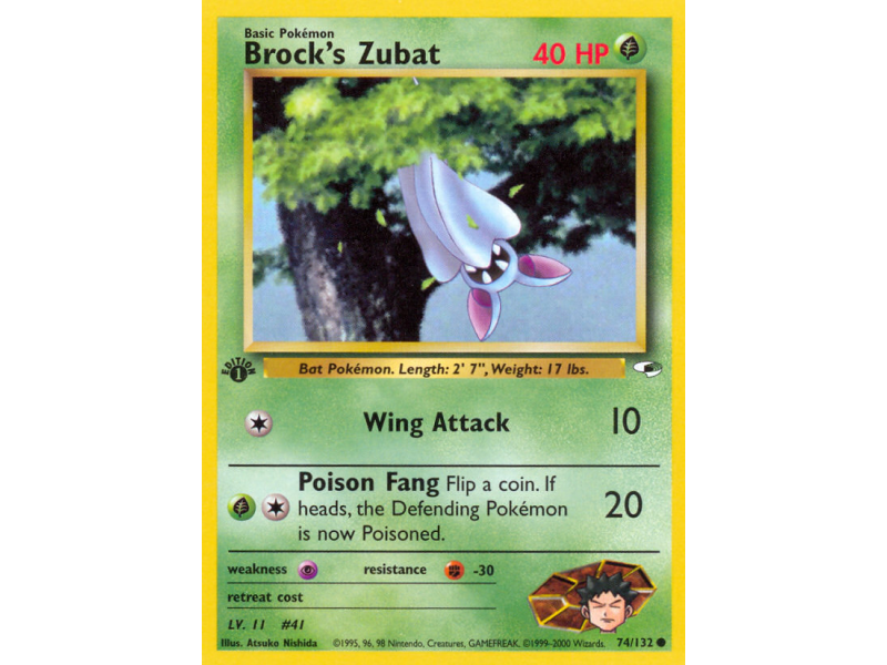Brock's Zubat