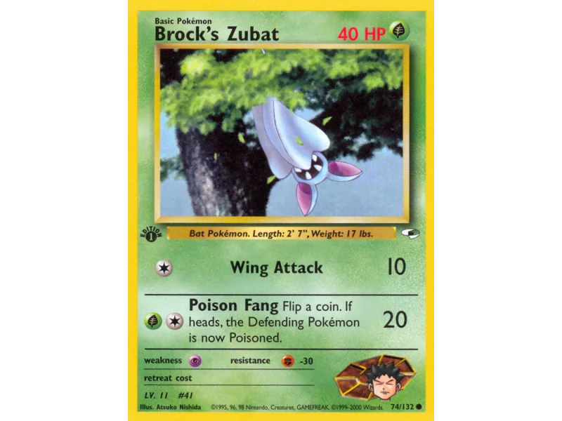 Brock's Zubat