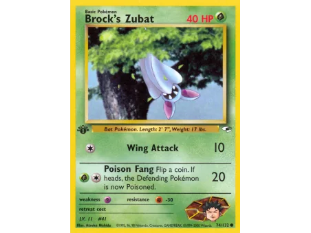 Brock's Zubat