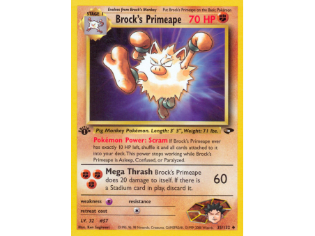 Brock's Primeape