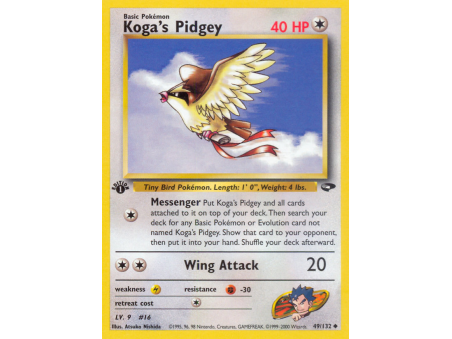 Koga's Pidgey