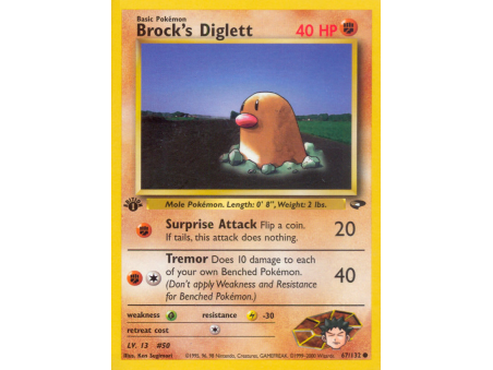Brock's Diglett