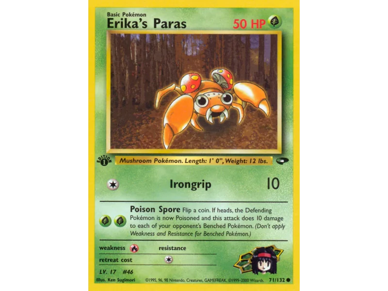 Erika's Paras