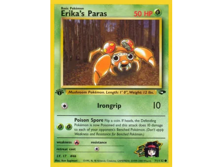 Erika's Paras