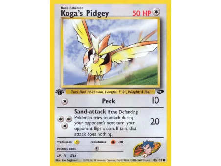 Koga's Pidgey