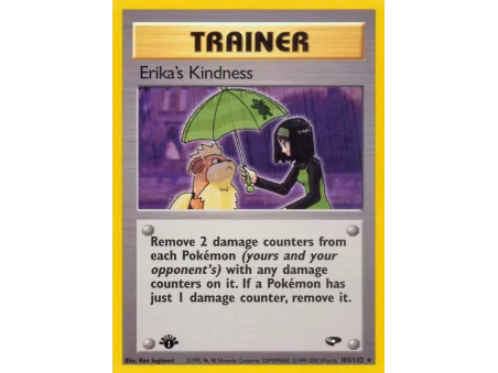 Erika's Kindness