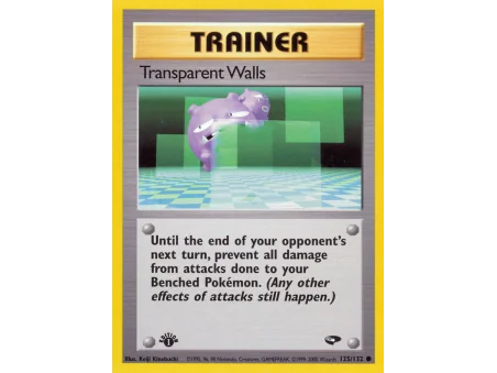 Transparent Walls