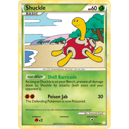 Shuckle (Holo)