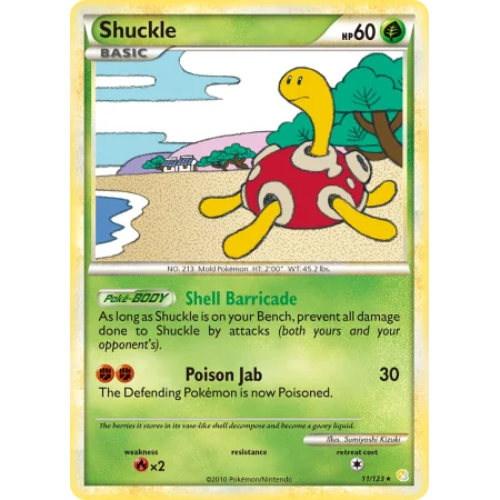 Shuckle (Holo)