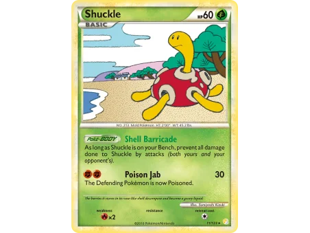 Shuckle (Holo)