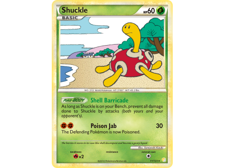 Shuckle (Reverse Holo)