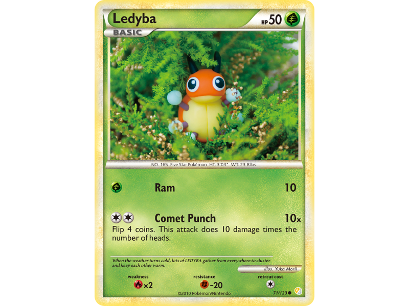 Ledyba
