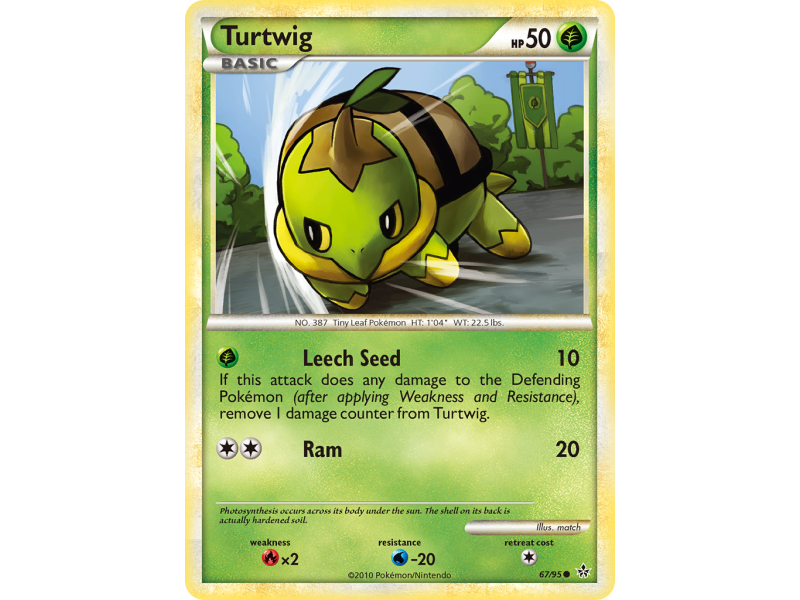 Turtwig