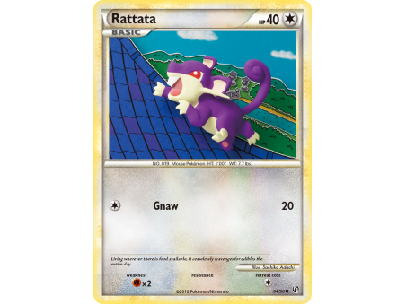 Rattata