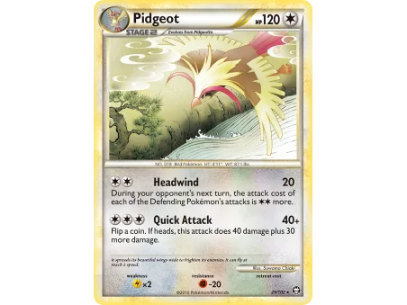 Pidgeot