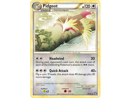 Pidgeot (Reverse Holo)